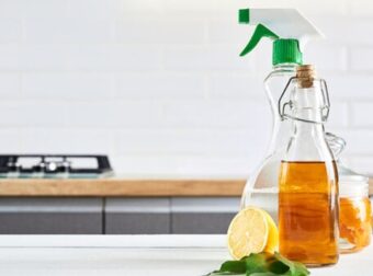 Γιατί πρέπει να ψεκάζεις τα παράθυρά σου με λευκό ξύδι – Το απίστευτο τρικ που θα σε σώσει – Σπίτι