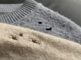 Σκόρος: 3+1 φυσικοί τρόποι να τον κρατήσεις μακριά από τα ρούχα σου – Σπίτι