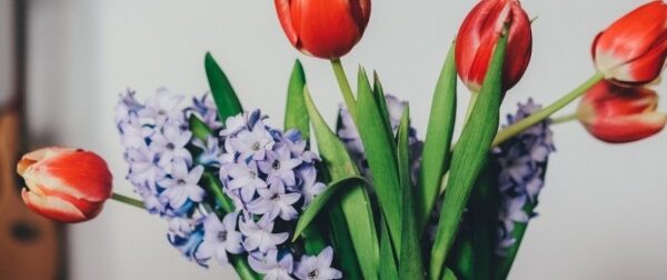 Σας μαραίνονται συνέχεια τα λουλούδια; Πώς να τα κάνετε να κρατήσουν περισσότερο – Σπίτι