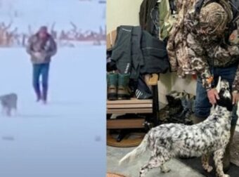 Ρίγη συγκίνησης: Άντρας ξεσπά σε κλάματα όταν βρίσκει μετά από καιρό τον σκύλο του που χάθηκε στο χιόνι (video) – Viral