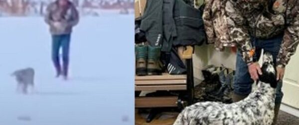 Ρίγη συγκίνησης: Άντρας ξεσπά σε κλάματα όταν βρίσκει μετά από καιρό τον σκύλο του που χάθηκε στο χιόνι (video) – Viral