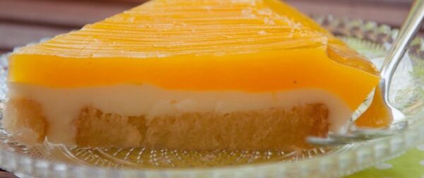 Μαμαδίστικη συνταγή για το πιο εύκολο γλυκό ψυγείου με κρέμα πορτοκαλιού – Έτοιμο σε 5 λεπτά – Συνταγές