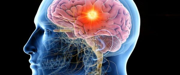 Το αντικαρκινικό λαχανικό που δυναμώνει εγκέφαλο και όραση και οι περισσότεροι δεν το αγαπάμε – Ομορφιά & Υγεία