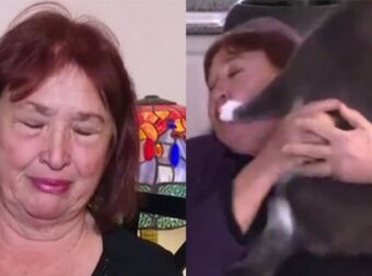 Ρούλα Βροχοπούλου: Δέχτηκε επίθεση από τη γάτα της σε ζωντανή σύνδεση με τηλεοπτική εκπομπή