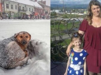 Θα κλάψετε! Η τρυφερή κίνηση σκύλου σε 10χρονο κοριτσάκι που μας "έστειλε" – Viral