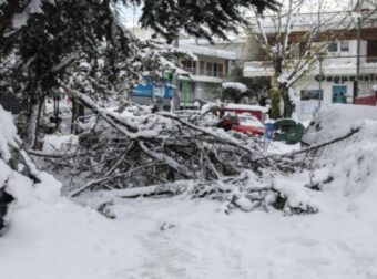 Κακοκαιρία «Ελπίδα»: Συγκλονίζει τραγική ιστορία στην Ανθούσα – «Η γιαγιά μου είναι νεκρή μέσα στο σπίτι της 24 ώρες!» (Video) – Ελλάδα