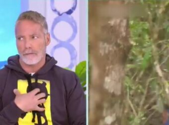 Survivor 5: «Έφυγα από το ριάλιτι γιατί έπαθα κάτι που…» – Η αποκάλυψη του Θανάση Μπέλλου on air – Survivor