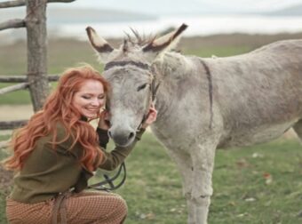 Γάλα γαϊδούρας: Οι λόγοι που το λατρεύουν όλο και πιο πολλές γυναίκες – Ομορφιά & Υγεία