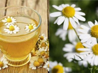 Χαμομήλι: Ένας «Φίλος» Για Την Υγεία Μας Και Τα Άγνωστα Οφέλη Του