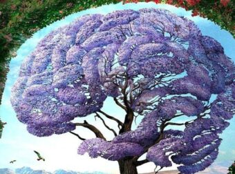 Ψυχολογικό τεστ: Το πρώτο πράγμα που βλέπεις στη φωτογραφία φανερώνει πολλά για την προσωπικότητά σου