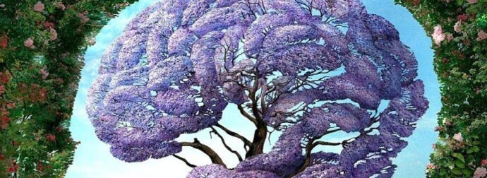 Ψυχολογικό τεστ: Το πρώτο πράγμα που βλέπεις στη φωτογραφία φανερώνει πολλά για την προσωπικότητά σου