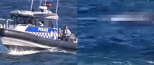 Η φρικιαστική στιγμή που καρχαρίας τρώει κολυμβητή σε παραλία του Σίδνεϊ (video) – Κόσμος