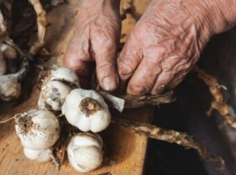 Αυτός είναι ο δαιμόνιος τρόπος για να φύγει η σκορδίλα από τα χέρια – Σπίτι
