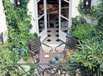 Το απίστευτο κόλπο που θα κάνει τα φυτά σας να δυναμώσουν – Σπίτι