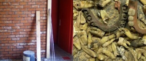 Σκέτος εφιάλτης: Έκανε ανακαίνιση σε ένα παλιό μαγαζί και του έπεσαν εκατοντάδες σάπια στο κεφάλι του – Funny-Περίεργα