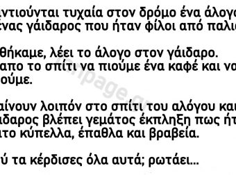 Ανέκδοτο: Το άλογο και ο γάιδαρος