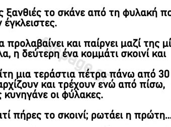 Μια ήμερα Τρεις ξανθιές το σκάνε από τη φυλακή