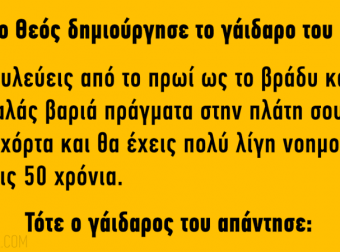 Όταν Ο Θεός Δημιούργησε Το Γάιδαρο Του Είπε