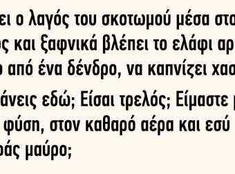 Ανέκδοτο! Τρέχει ο Λαγός του Σκοτωμού μέσα στο Δάσος όταν Ξαφνικά