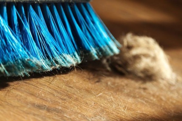 Η γιαγιά μίλησε! Αυτό είναι το απίθανο κόλπο για να ξεφορτωθείτε τη σκόνη από τα δύσκολα σημεία – Σπίτι