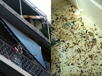 «Τα δάγκωναν ποντίκια, η μάνα τα έβαζε να ζητιανεύουν»: Αποτροπιασμός για τα παιδιά στον Άγιο Παντελεήμονα