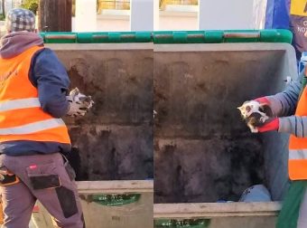 Εργαζόμενος Στην Καθαριότητα Σώζει 5 Νεογέννητα Γατάκια Που Βρήκε Μέσα Σε Κάδο Σκουπιδιών