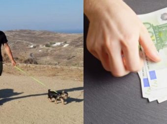 Tρέξτε να προλάβετε: Δίνουν αμοιβή 1.000€ το μήνα για να προσέχεις σκύλο στη Μύκονο μόνο με 2 όρους