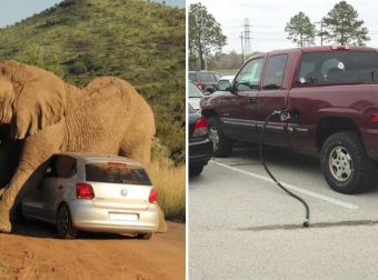15 Ανεξήγητες φωτογραφίες που βρήκαμε τυχαία στο διαδίκτυο και μας έκαναν να κολλήσουμε για ώρα!
