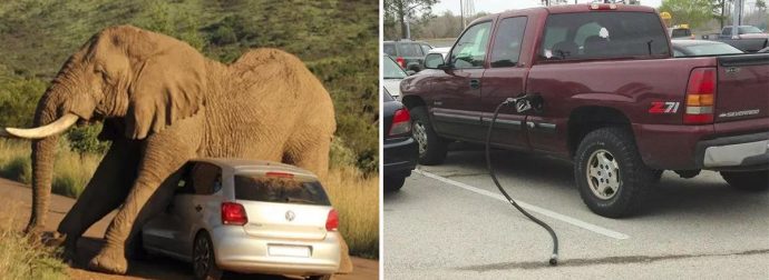 15 Ανεξήγητες φωτογραφίες που βρήκαμε τυχαία στο διαδίκτυο και μας έκαναν να κολλήσουμε για ώρα!