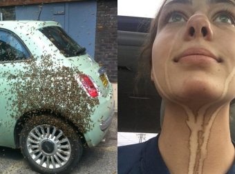 15 Γκαντέμηδες άνθρωποι που πραγματικά πέρασαν μια πολύ άσχημα μέρα. Με την 13η θα πονέσετε!