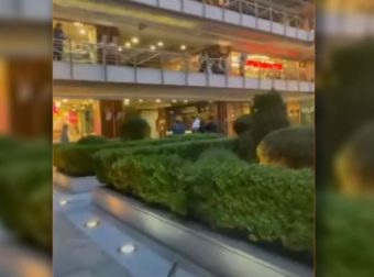 Άγρια συμπλοκή σε εμπορικό κέντρο της Θεσσαλονίκης: Βίντεο ντοκουμέντο, τραυματίστηκε αστυνομικός