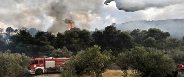 Μεγάλη φωτιά στα Μέγαρα: Επιχειρούν αεροσκάφη και 35 πυροσβέστες